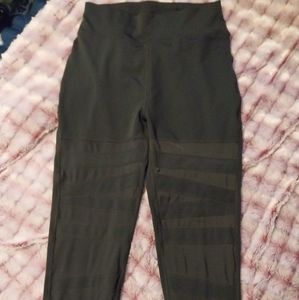 𝕏𝕃 ℙ𝕠𝕡𝕗𝕚𝕥 "𝔸𝕧𝕒" 𝕃𝕖𝕘𝕘𝕚𝕟𝕘𝕤.